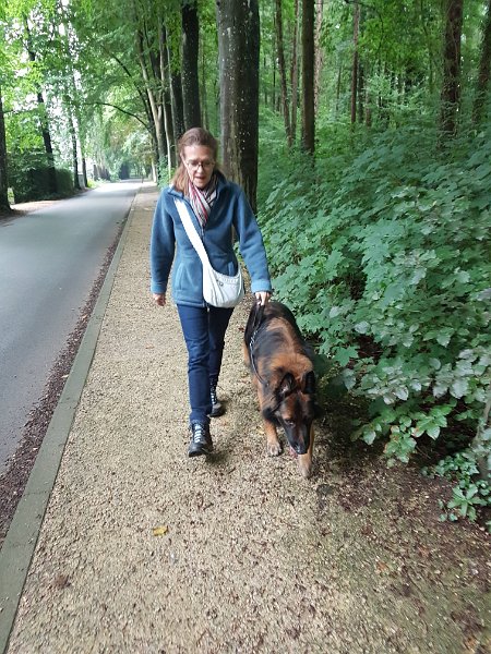 Wandeling in Maredsous